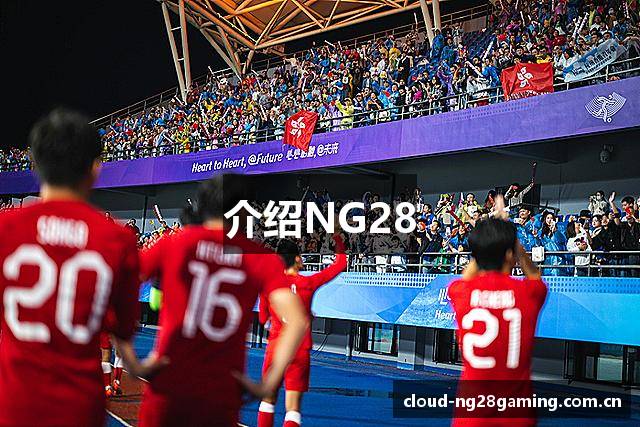 介绍NG28